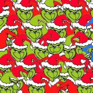 Meet your Posher, Fernanda